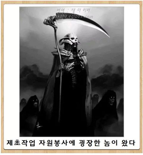 포스트의 이미지