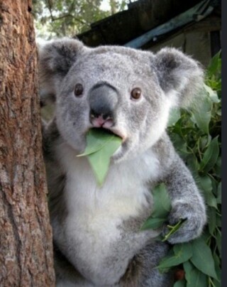 포스트의 이미지