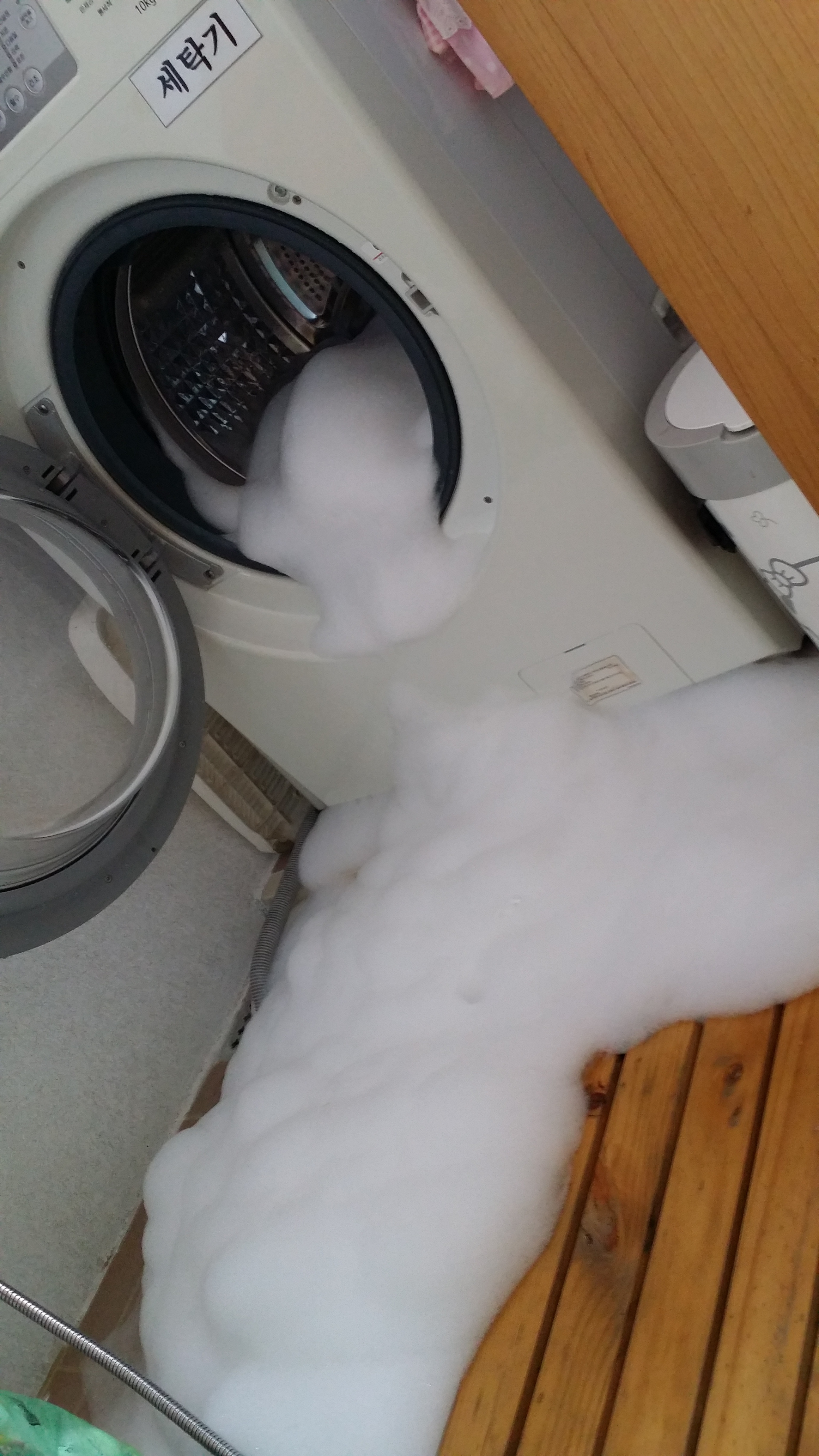 포스트의 이미지