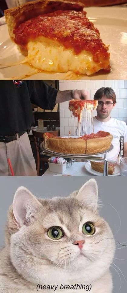 포스트의 이미지