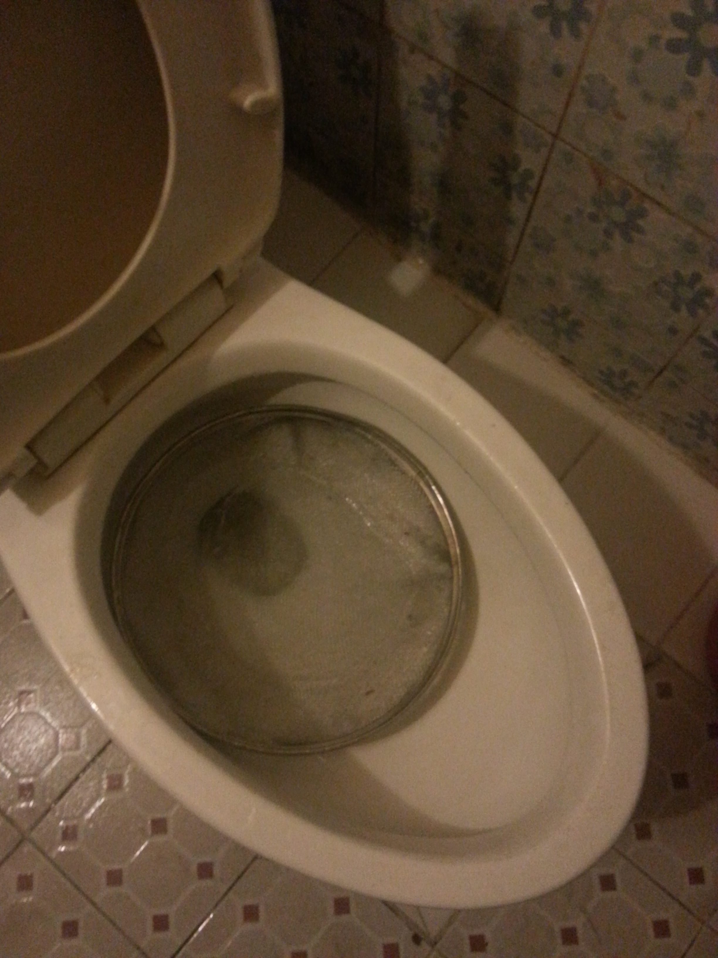 포스트의 이미지