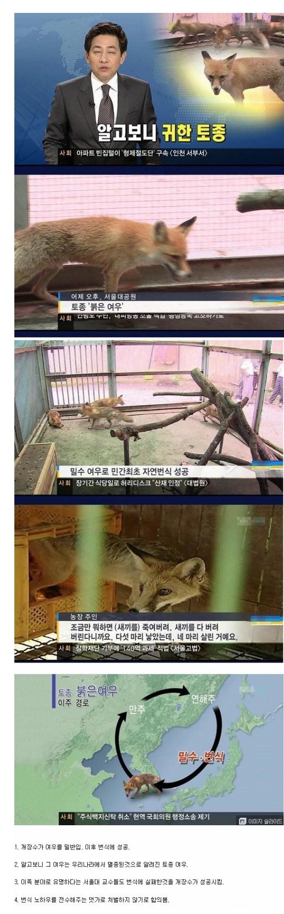 포스트의 이미지