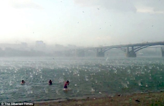 포스트의 이미지