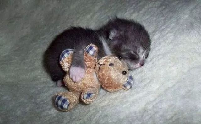 포스트의 이미지