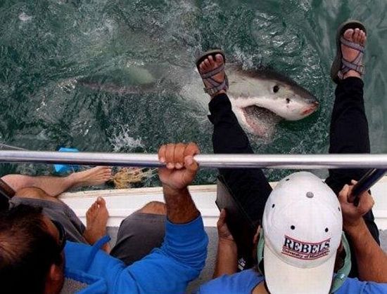 포스트의 이미지