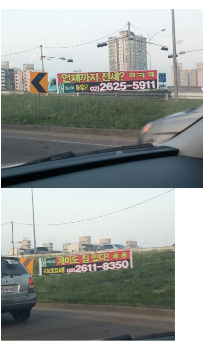 포스트의 이미지