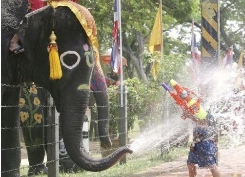 포스트의 이미지