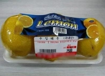 포스트의 이미지