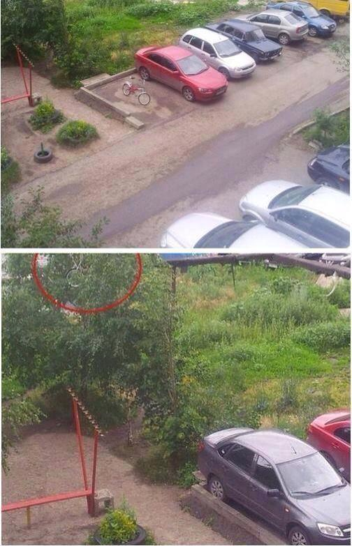 포스트의 이미지