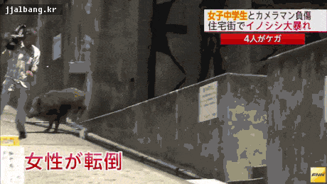 포스트의 이미지