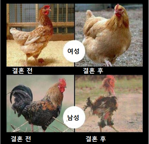 포스트의 이미지