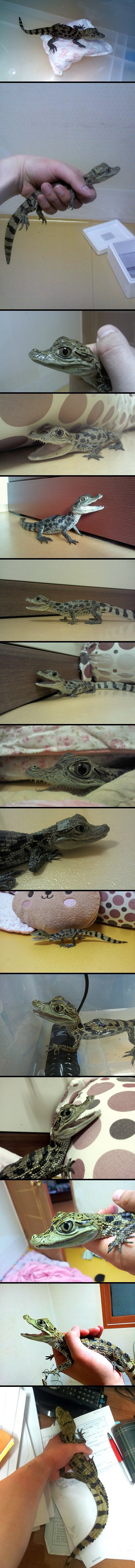 포스트의 이미지