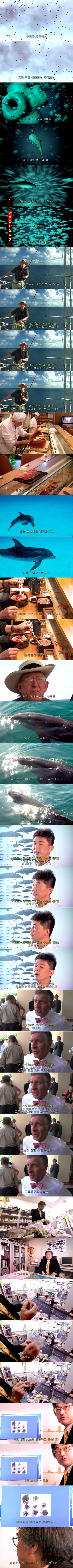 포스트의 이미지