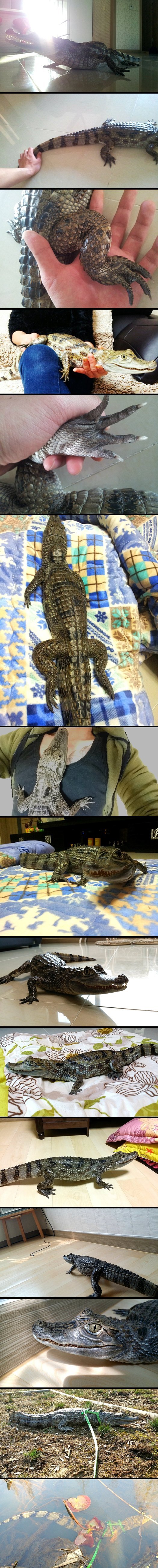 포스트의 이미지