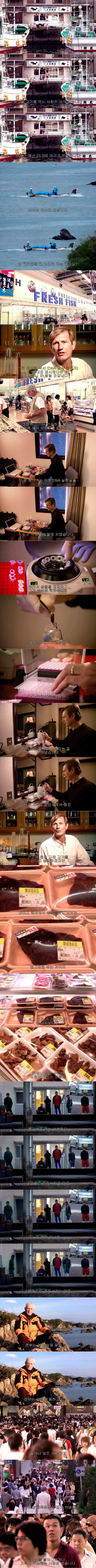 포스트의 이미지