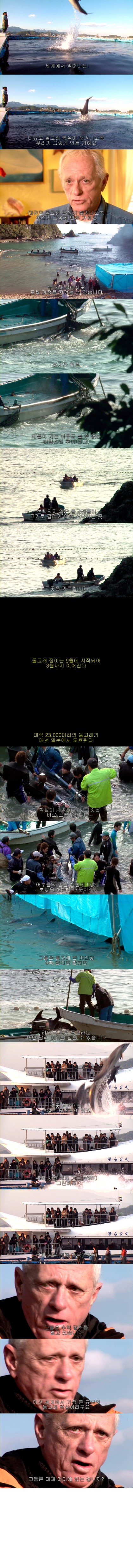 포스트의 이미지