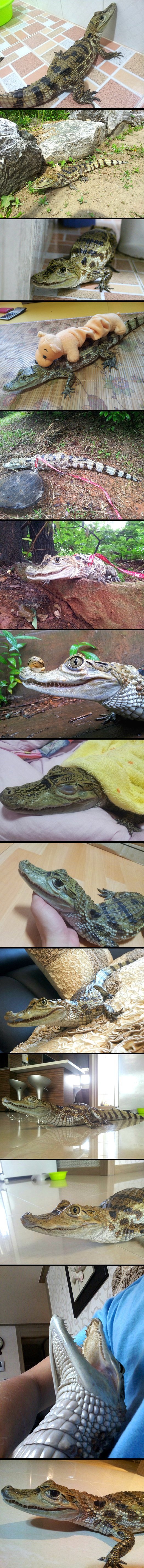 포스트의 이미지