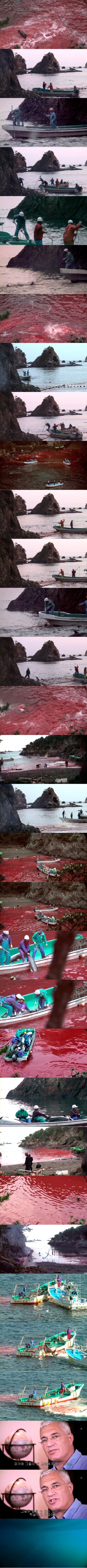 포스트의 이미지