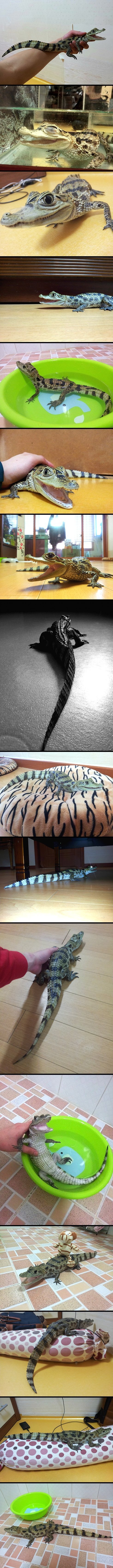 포스트의 이미지