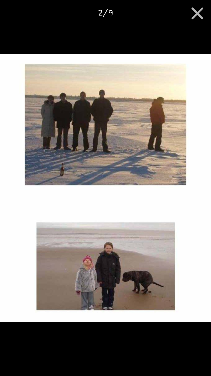 포스트의 이미지