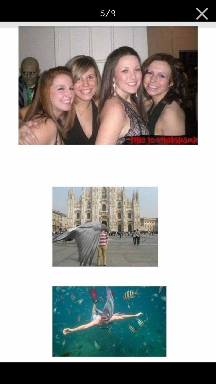 포스트의 이미지