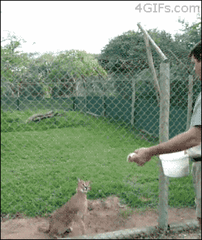 포스트의 이미지