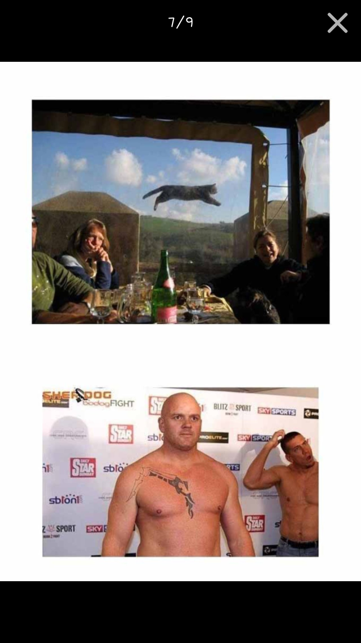 포스트의 이미지