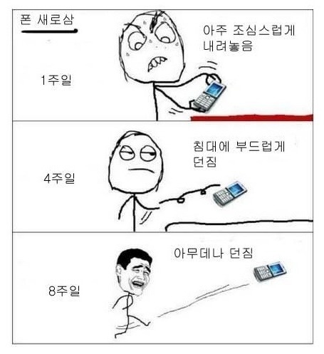 포스트의 이미지