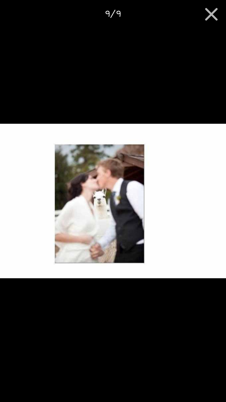 포스트의 이미지