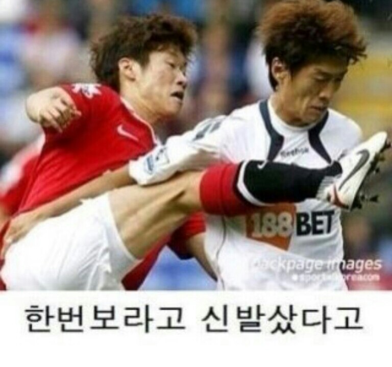 포스트의 이미지