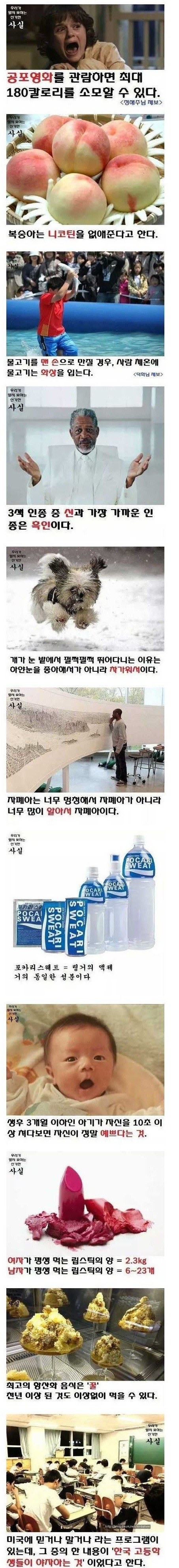 포스트의 이미지
