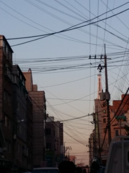 포스트의 이미지