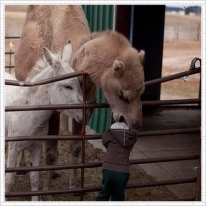 포스트의 이미지