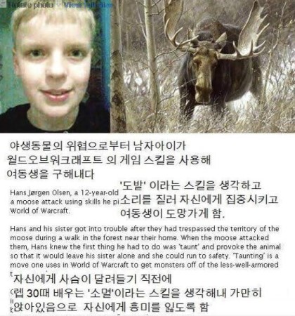 포스트의 이미지