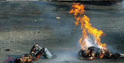 포스트의 이미지