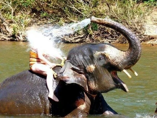 포스트의 이미지