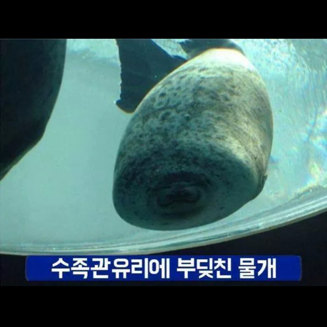 나는누구?여긴어디?