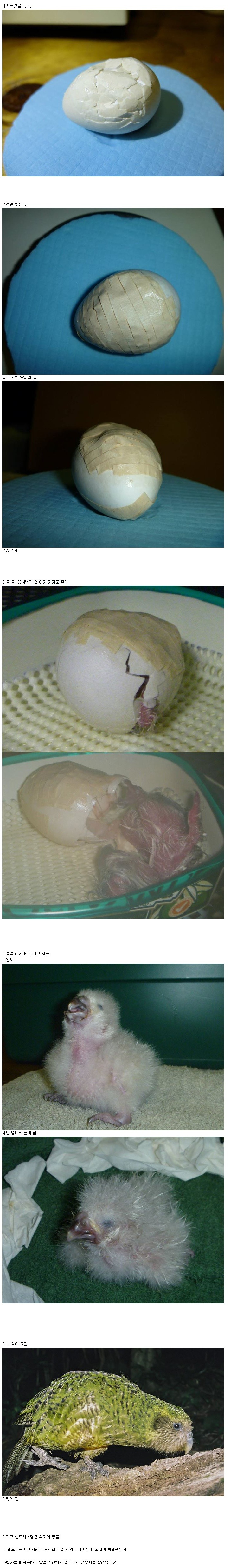 포스트의 이미지