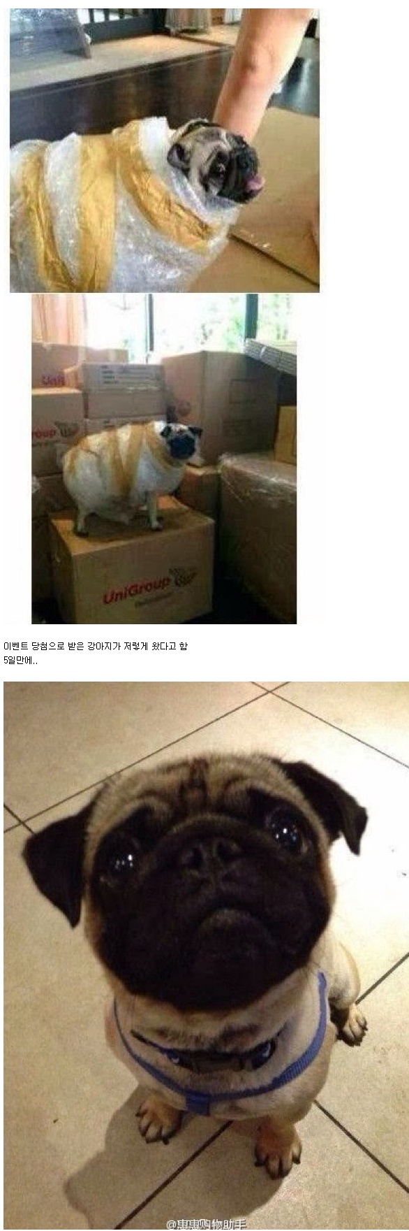 포스트의 이미지