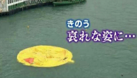 포스트의 이미지