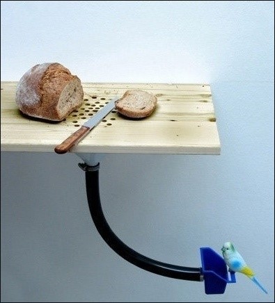 포스트의 이미지