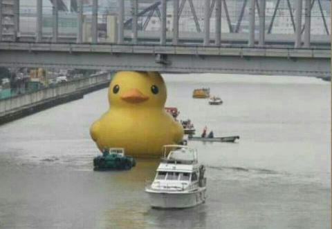 포스트의 이미지