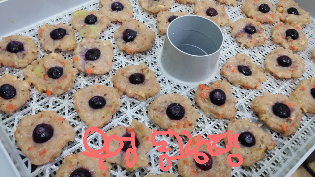 포스트의 이미지