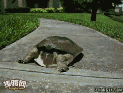 포스트의 이미지