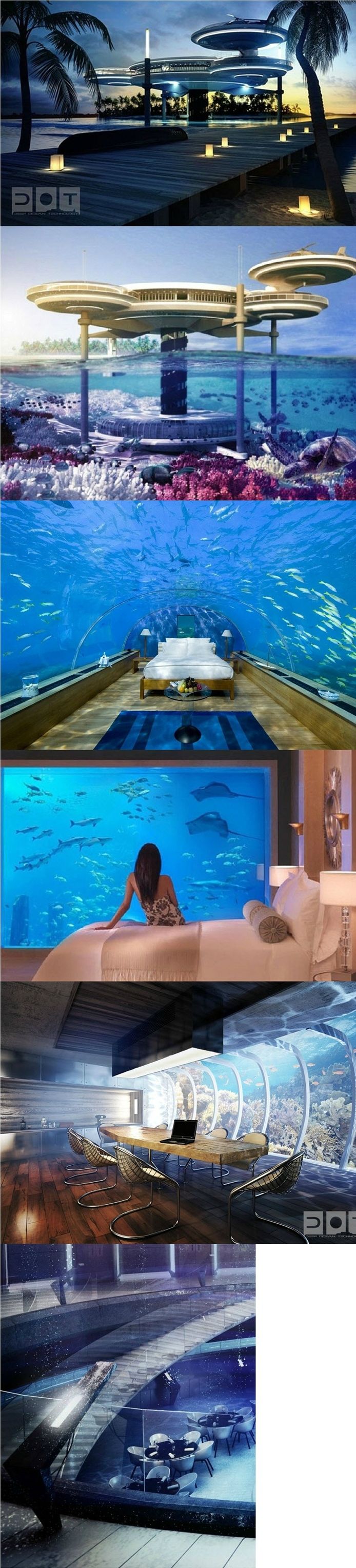 포스트의 이미지