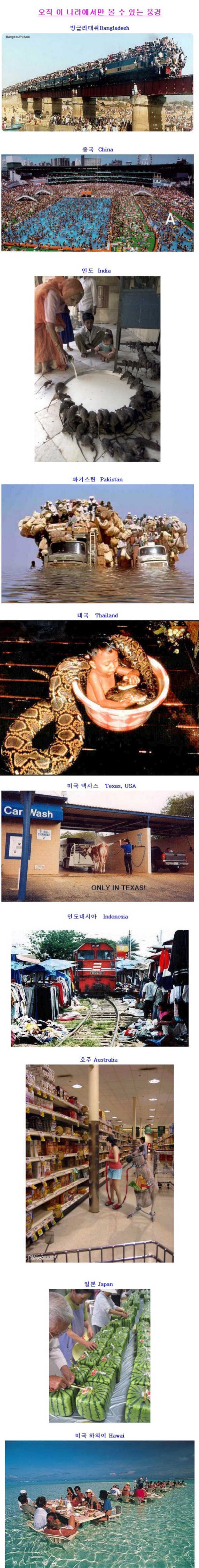 포스트의 이미지