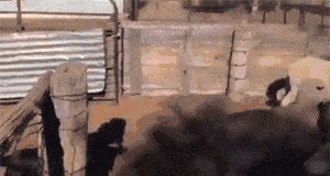 포스트의 이미지