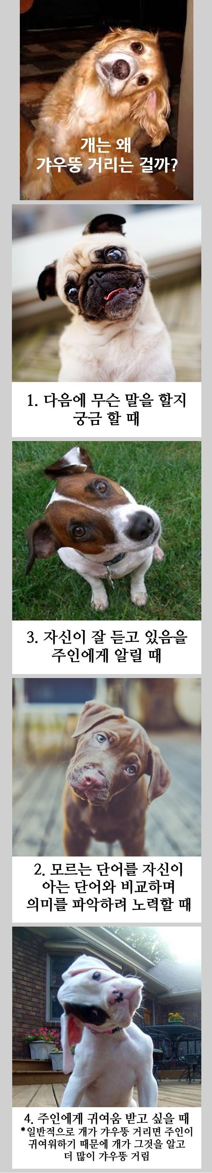 포스트의 이미지