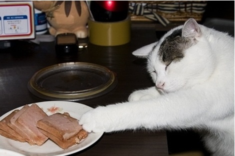 포스트의 이미지