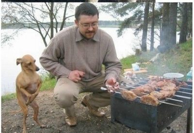 포스트의 이미지